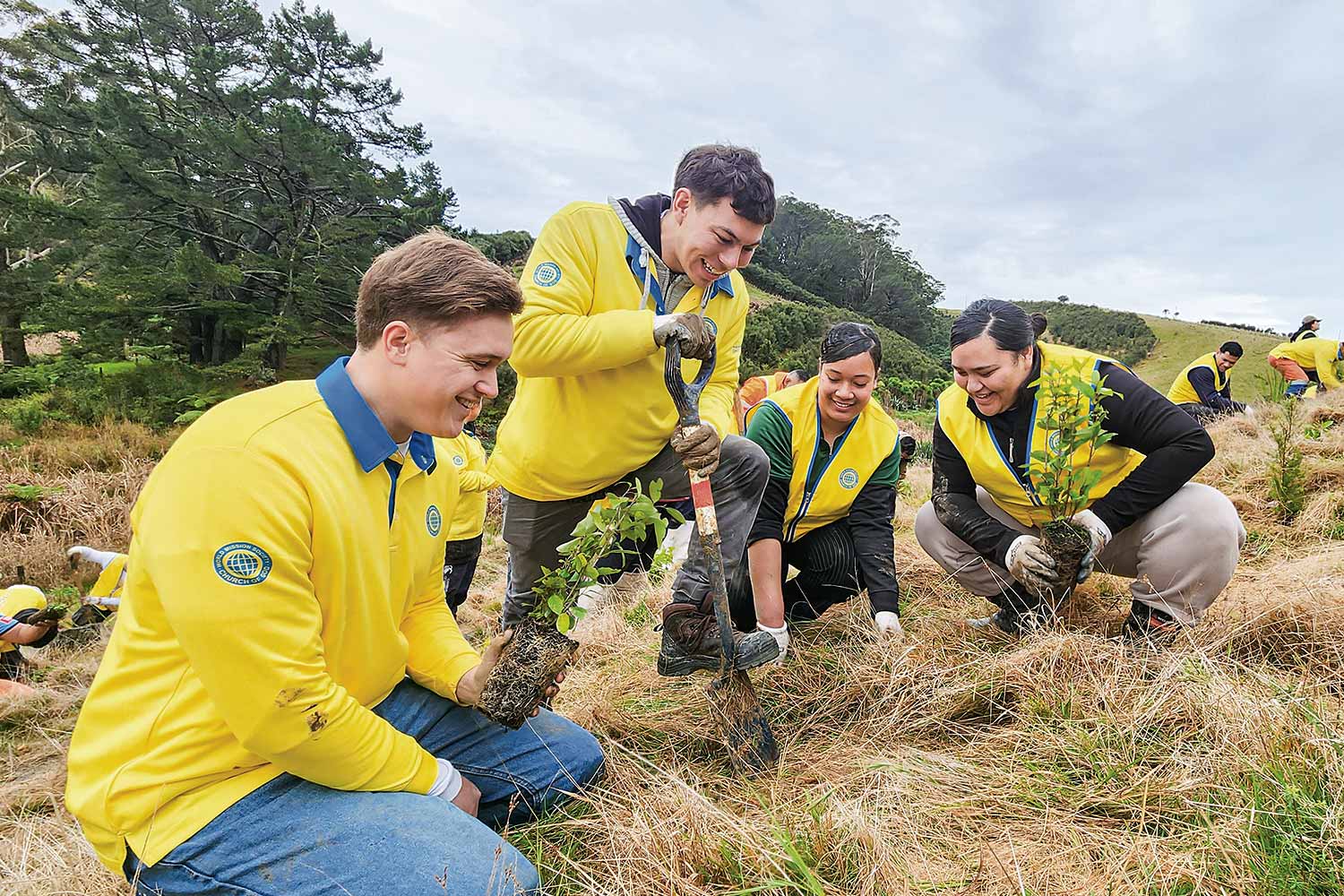 뉴질랜드 오클랜드 카와카와 일대 ‘희망의 숲’
