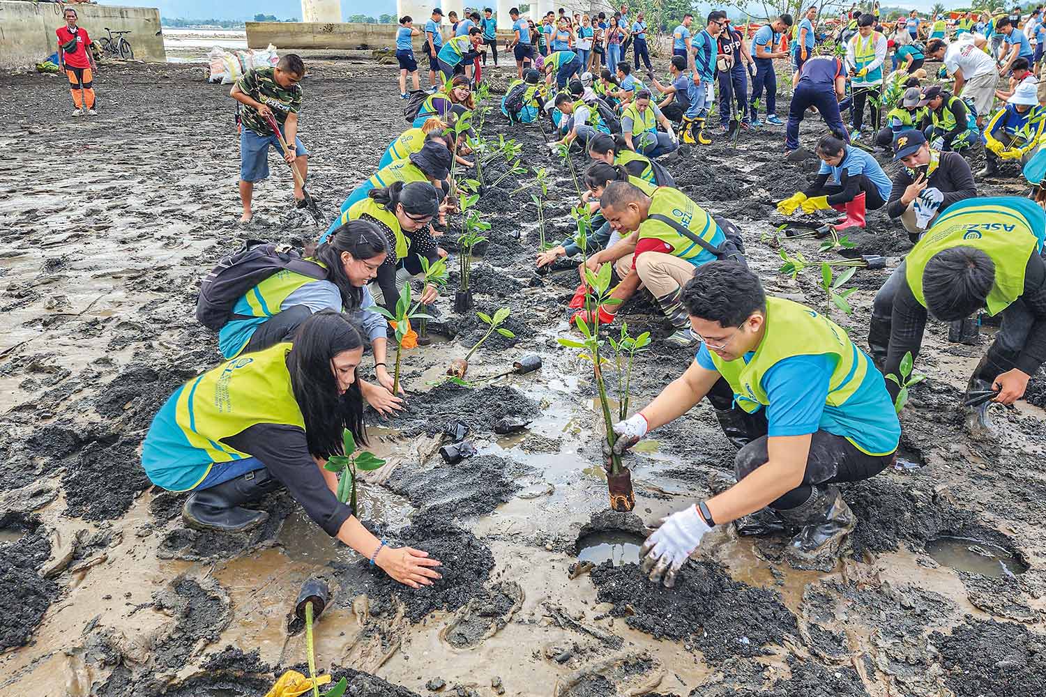 필리핀 다바오 타복 해변 일대 ‘Mother’s Forest’