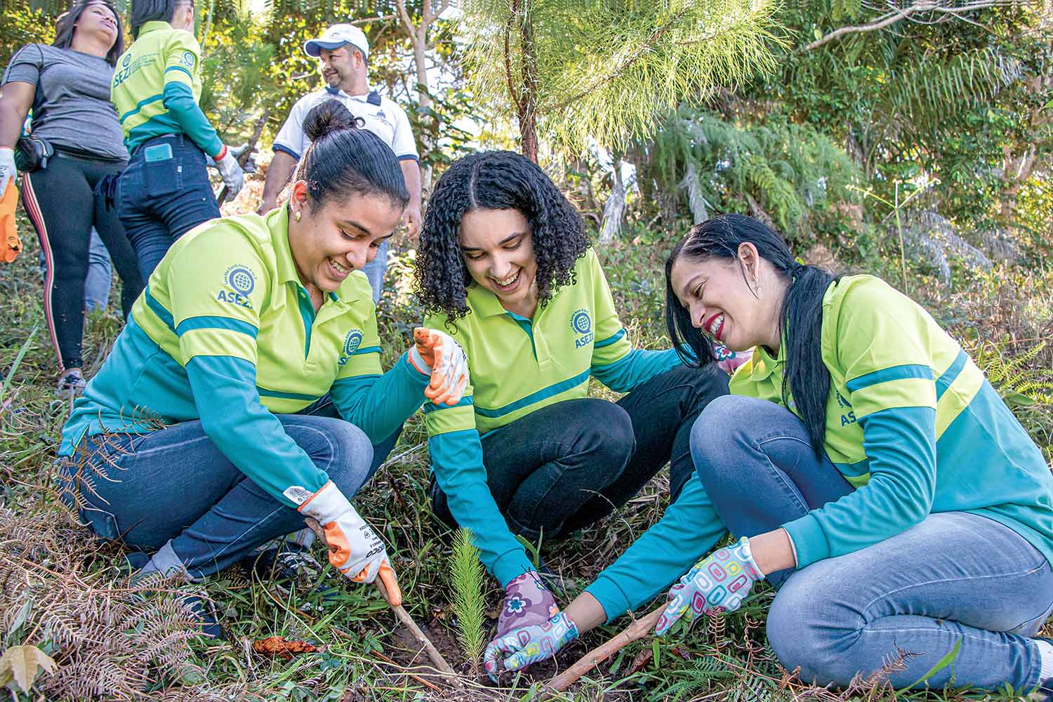 도미니카공화국 하라바코아 빅터 멘데 카발라 일대 ‘Mother’s Forest’